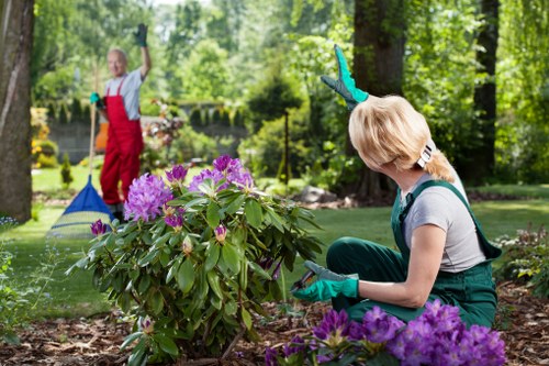 Illustration representing accessible Gardeners Snaresbrook web content