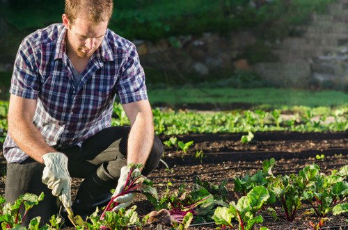 Garden service issue being assessed carefully