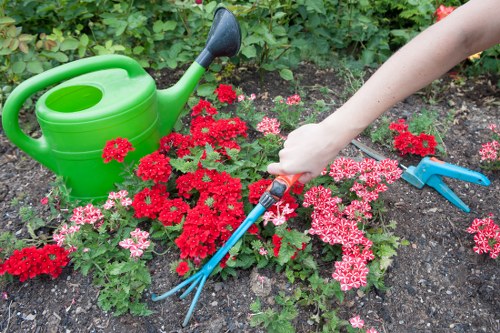 Seasonal lawn maintenance in a Snaresbrook home garden