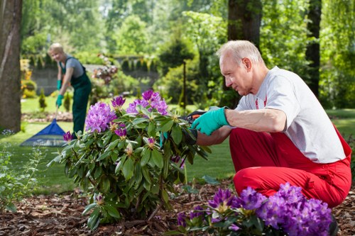 Sustainable landscaping in Snaresbrook with year-round planting