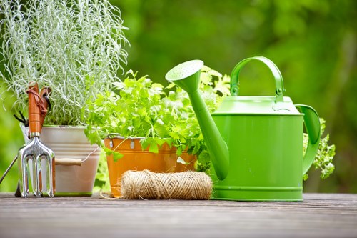 Seasonal garden upkeep in Snaresbrook with plants and lawn care