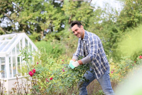 Professional hedge trimming for a Snaresbrook property