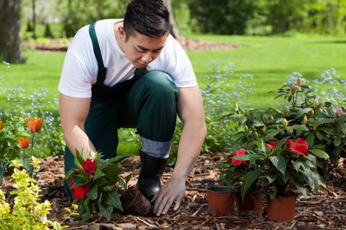 Seasonal planting and border care by Snaresbrook gardeners