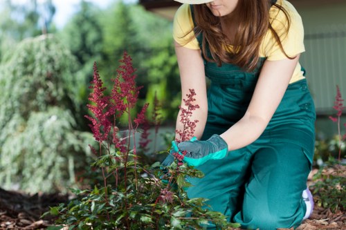Year-round gardening services in Snaresbrook for tidy outdoor spaces