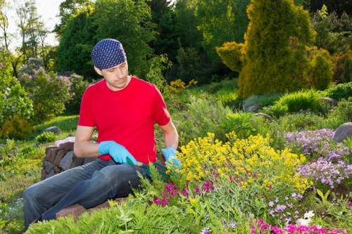 Local tree surgery service improving safety and appearance in Snaresbrook