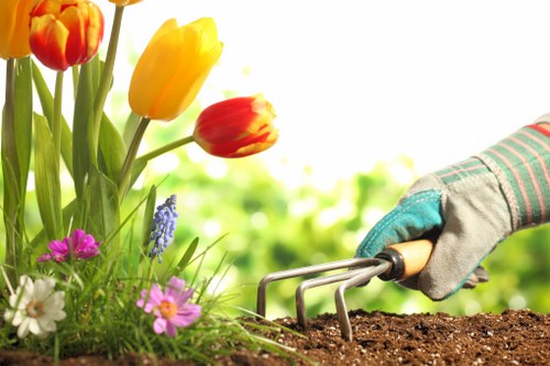 Eco-friendly garden waste removal in Snaresbrook