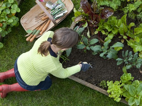 Free quote policy for local gardening services