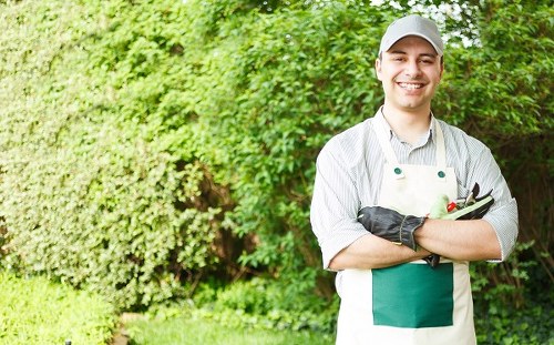 Seasonal lawn maintenance for a residential garden in Snaresbrook