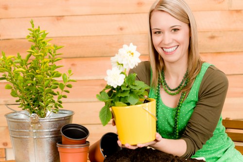 Seasonal gardening services in Snaresbrook for healthy borders and planting