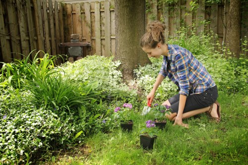 Garden renovation and lawn improvement services in Snaresbrook