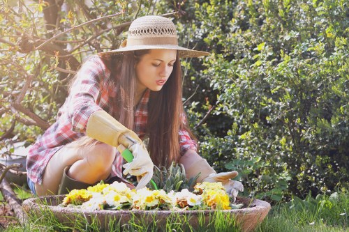 Lawn maintenance and weed control in a Snaresbrook garden