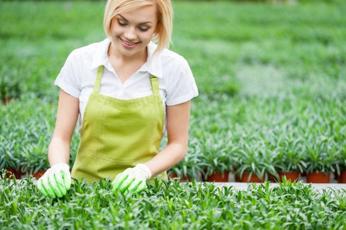 Typical garden clearance pricing in Snaresbrook