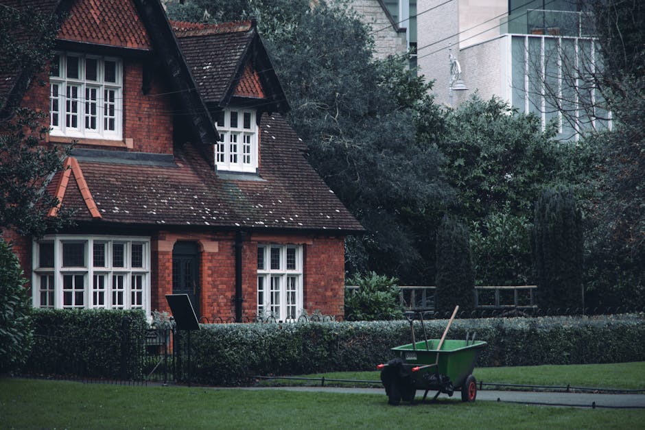 A person wearing orange and gray work clothing is using a petrol-powered brush cutter to trim grass and weeds along a garden border. The tool's orange and black cutting head is close to the soil, scat