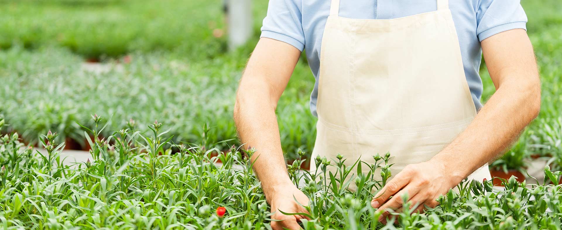 Gardeners Snaresbrook